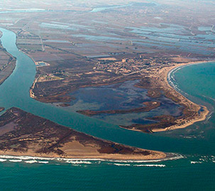 Excursión delta del rió Ebro Excursión delta del rió Ebro